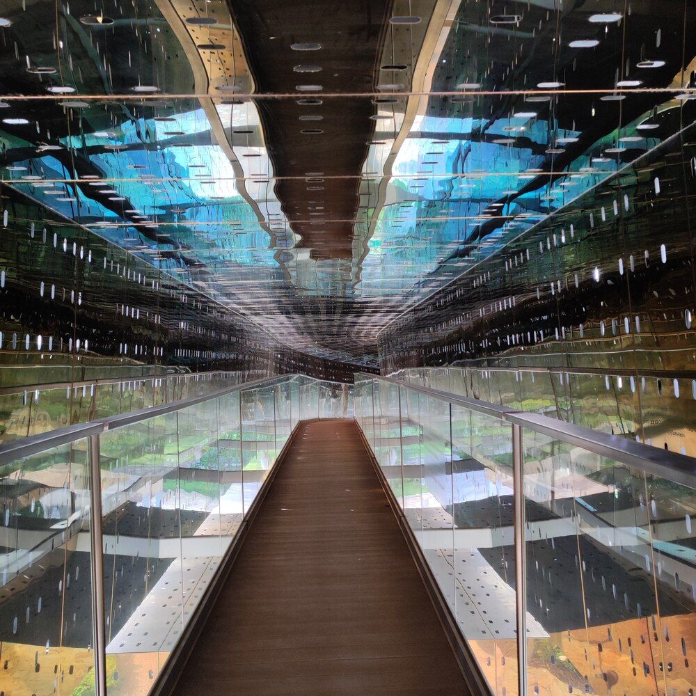 Лента Мёбиуса