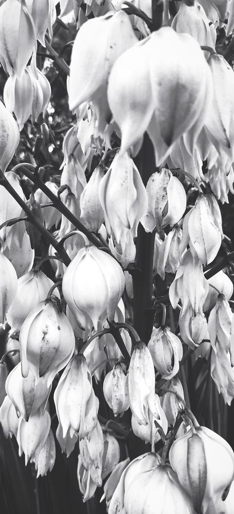 Photograph by Dragan Leles