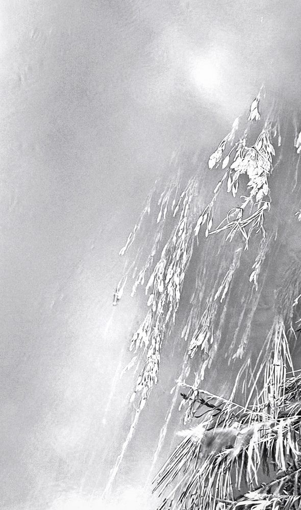 Photograph by Dragan Leles