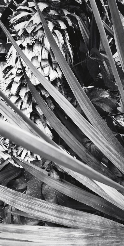 Photograph by Dragan Leles