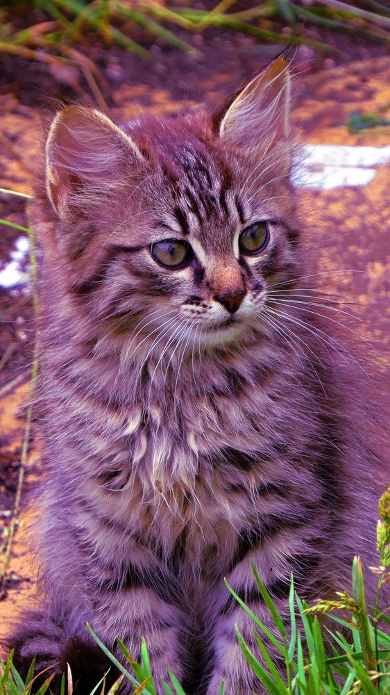 Photograph by Фартушняк Сергей