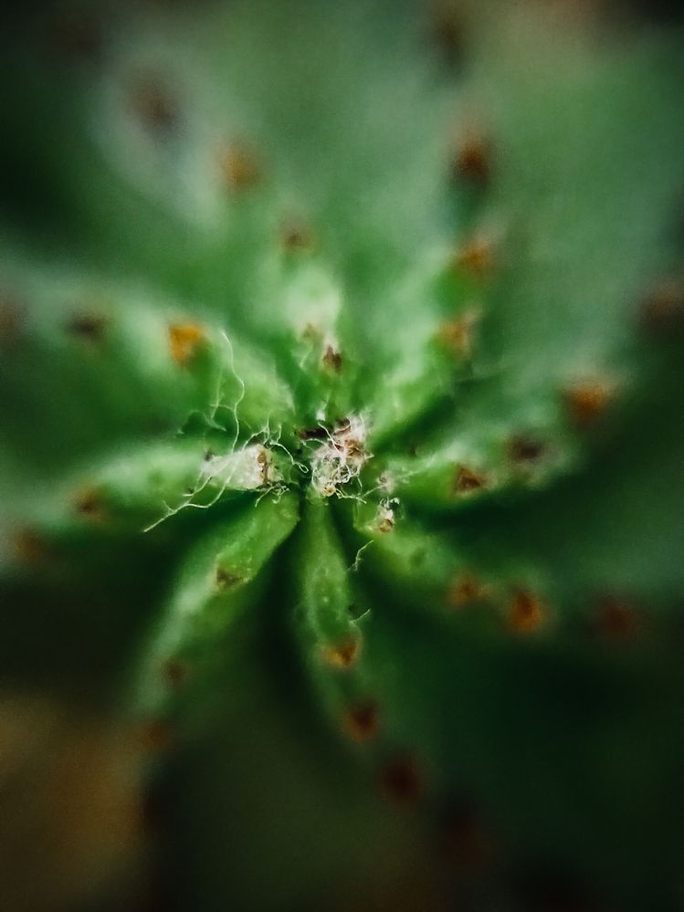 Фотография автора Дарина Фельдман