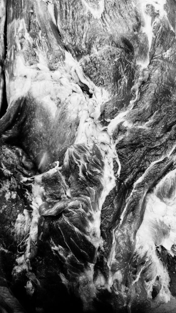 Фотография автора Дарина Фельдман