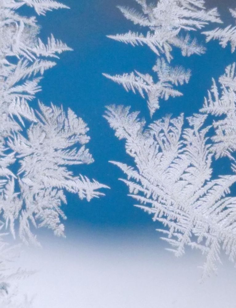 Photograph by Елена Коробченко