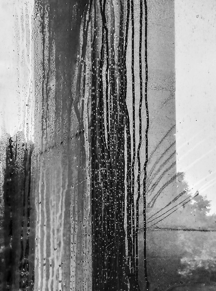 Photograph by Sergey Kurkov-Tarkovsky