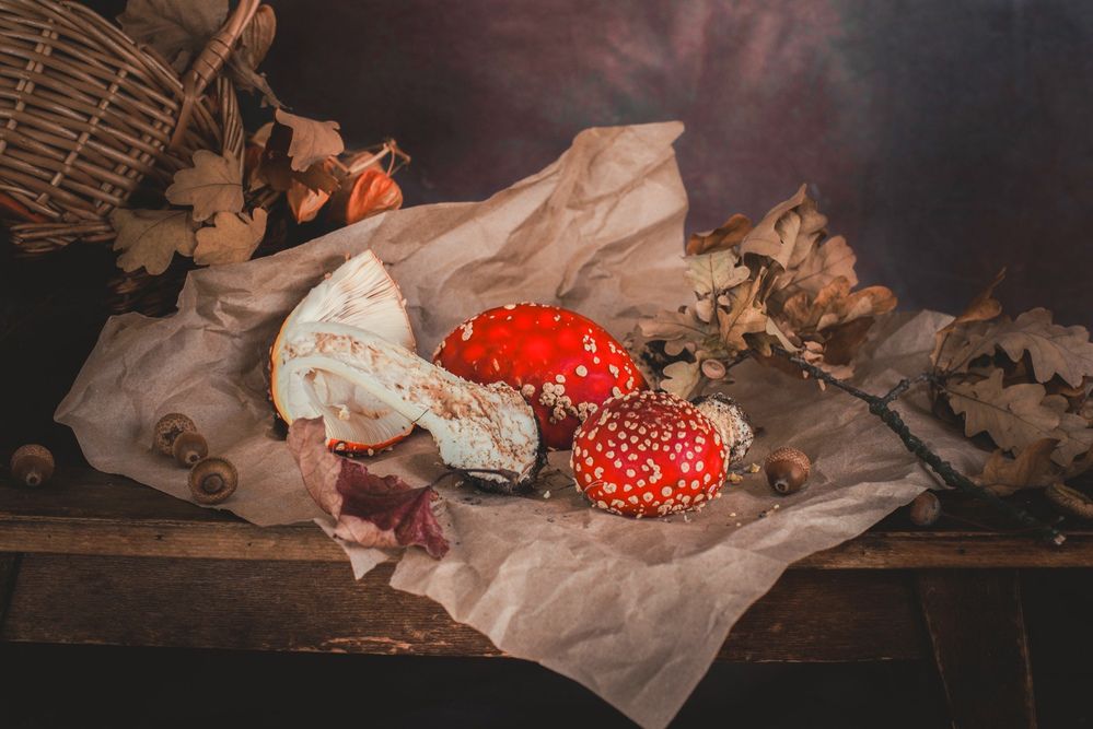 Photograph by Екатерина Леонова