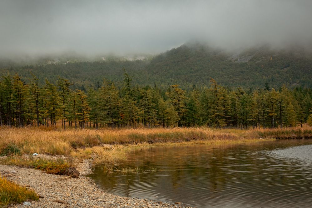 Колымское безмолвие