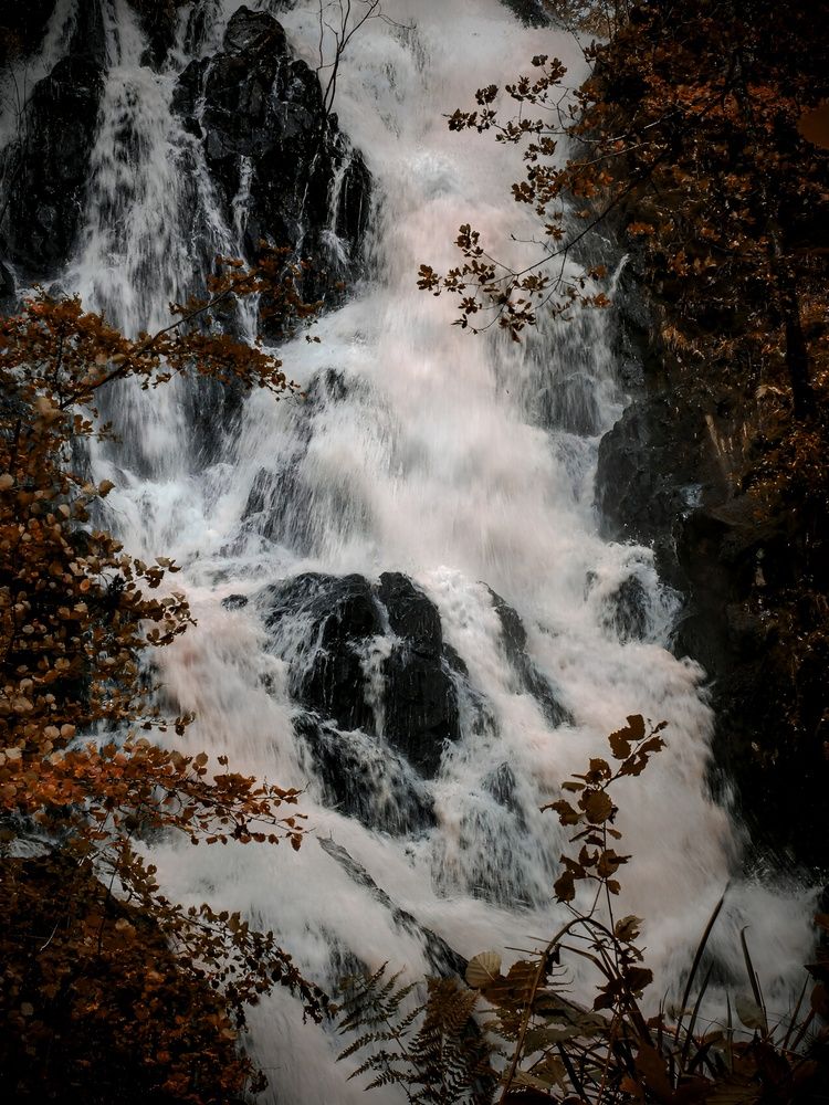 Фотография автора Michael Gault