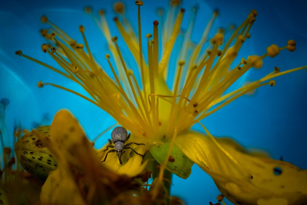 Photograph by Николай Фонарёв