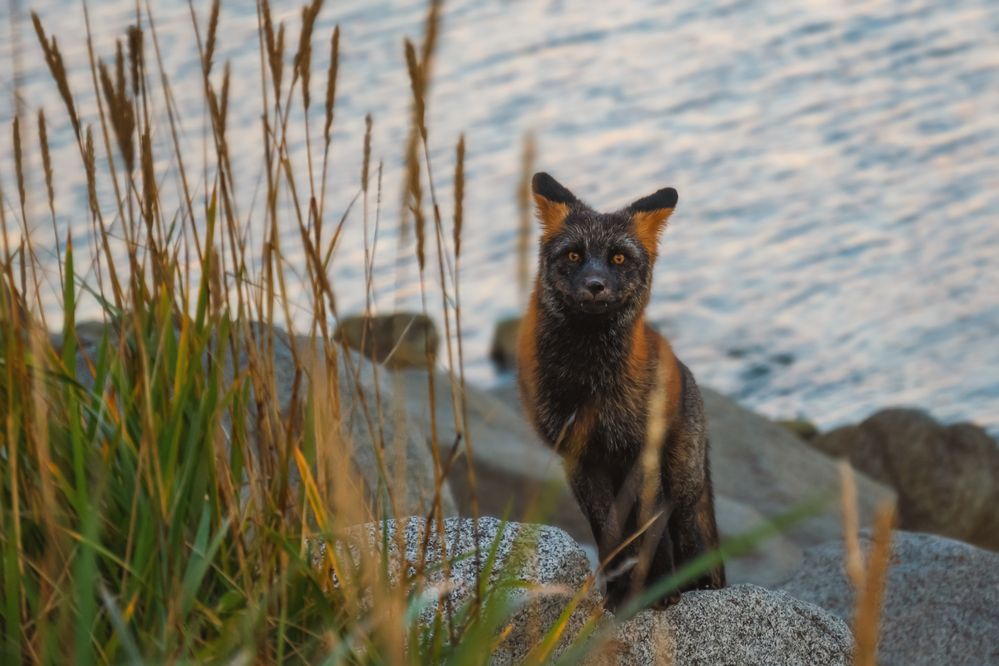 А что это вы тут делаете?