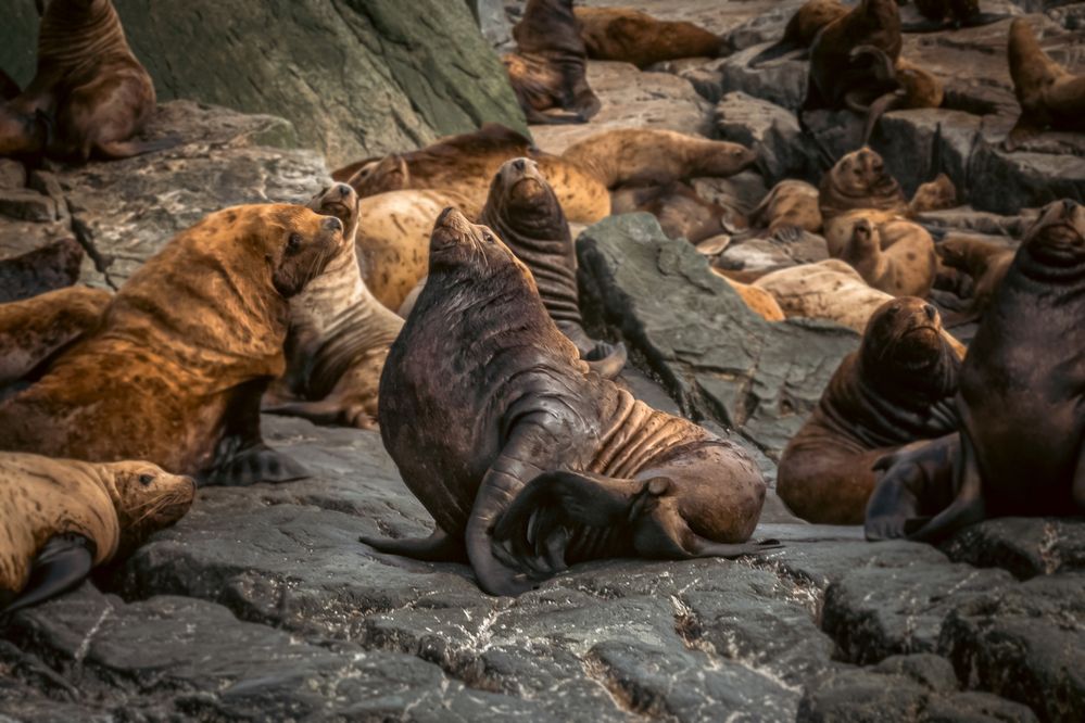 Фотография автора Lyudmila Yakovleva