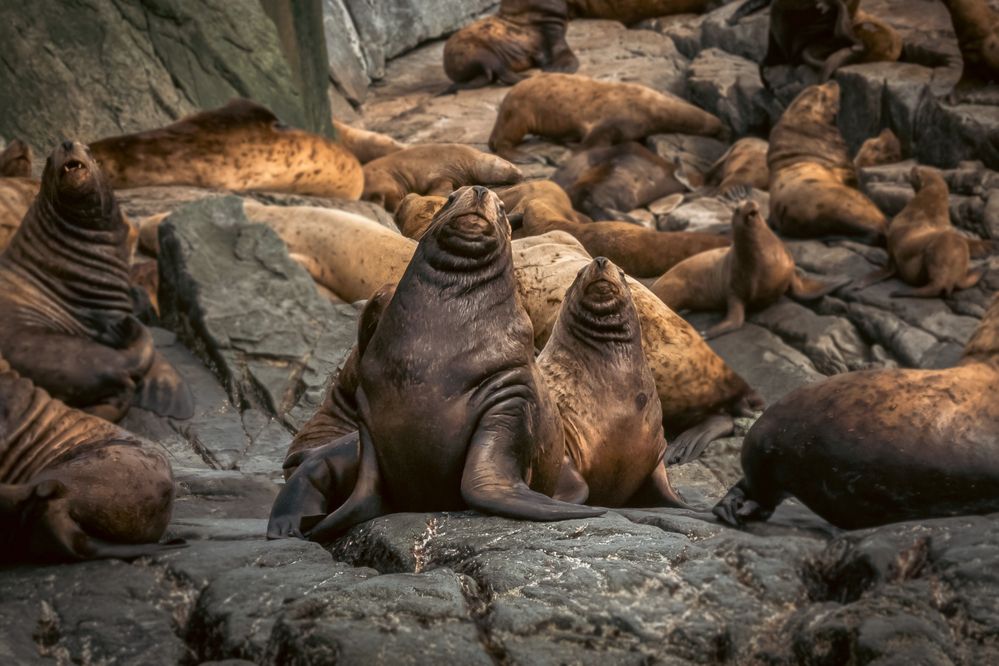 Фотография автора Lyudmila Yakovleva