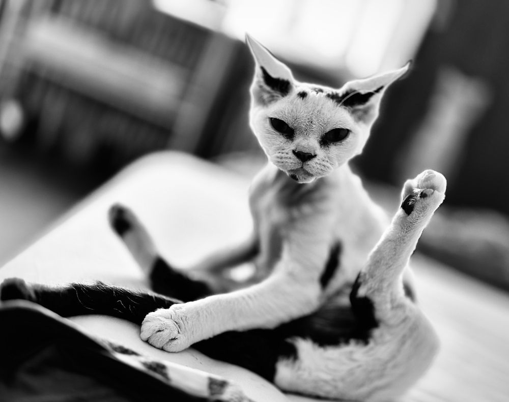 Photograph by Elena Bitar