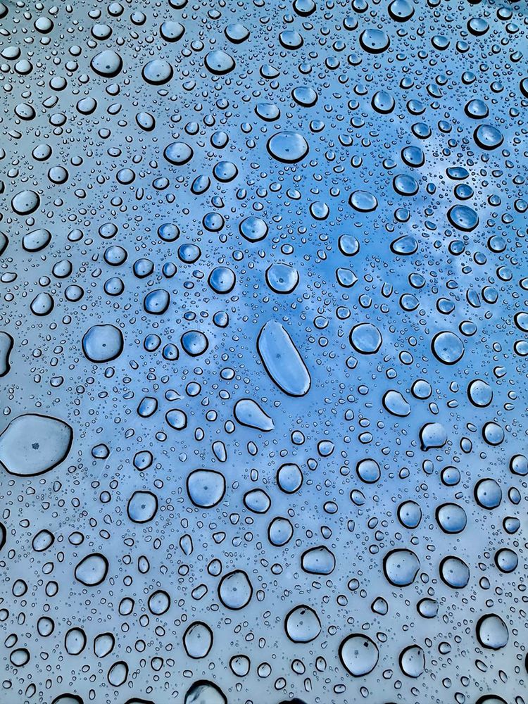 Фотография автора Максим Мухин