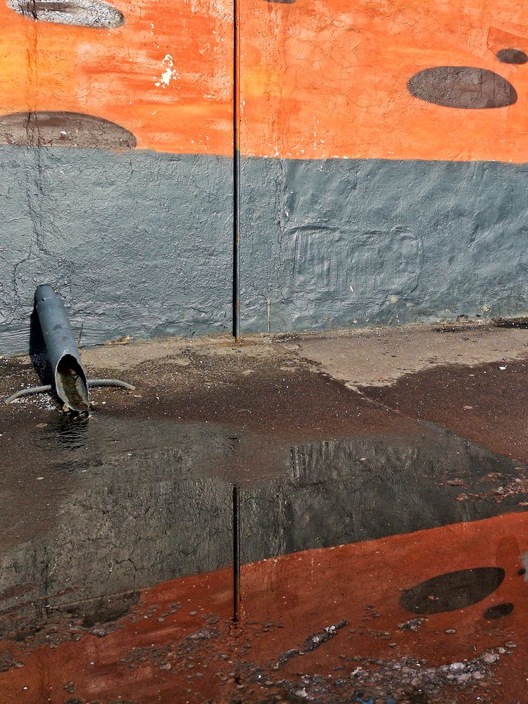 Photograph by Михаил Янкин