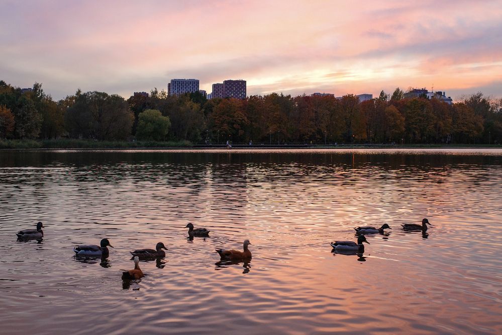 Photograph by Алла Никушкина