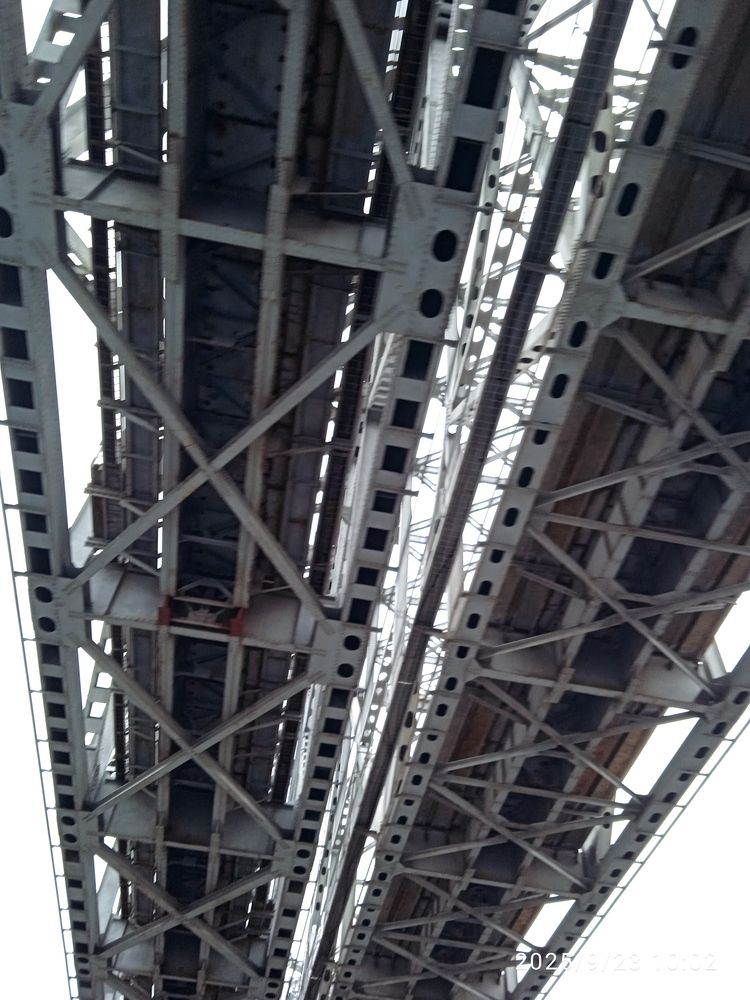Photo #12705039