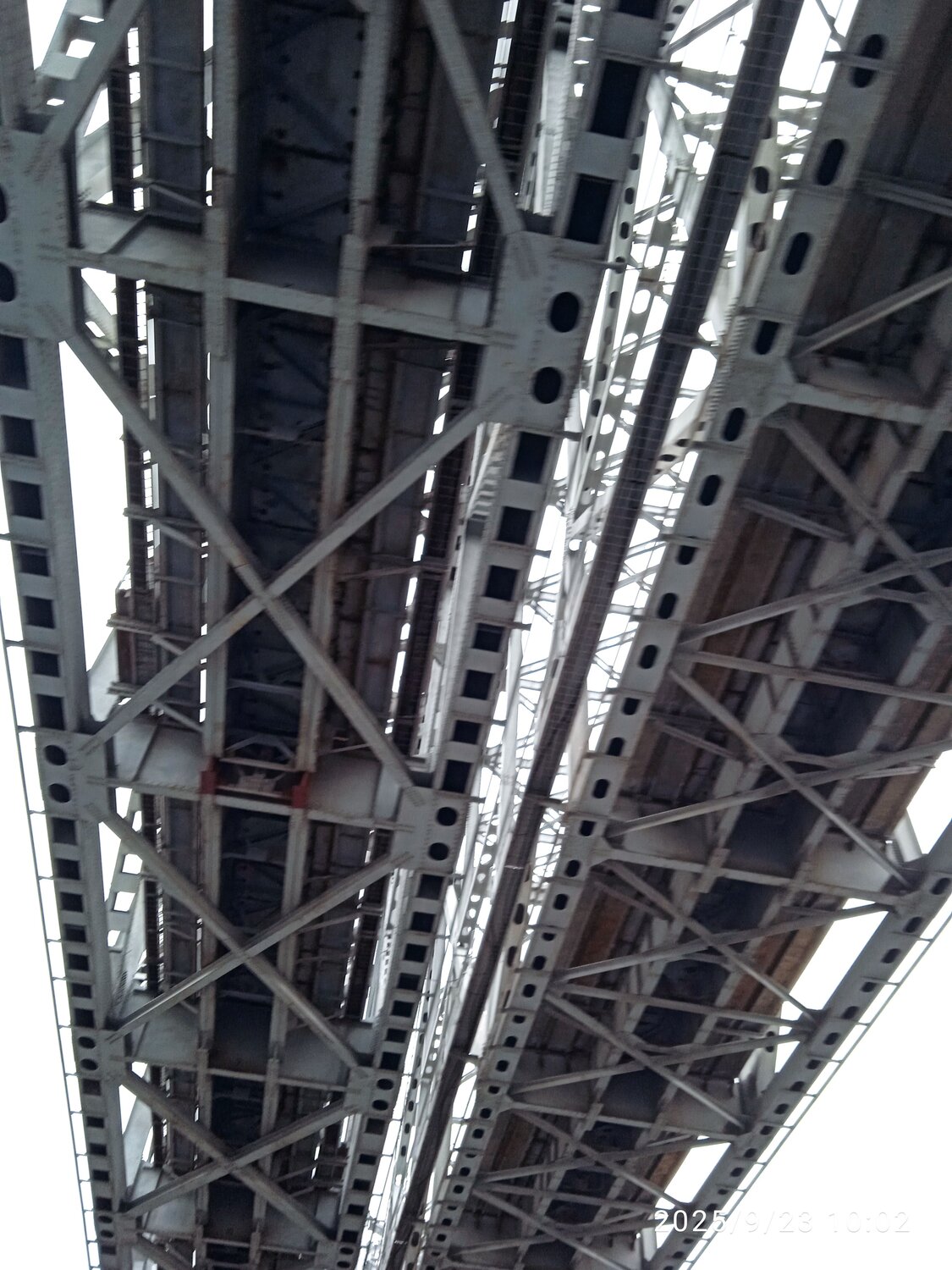 Photo #12705039