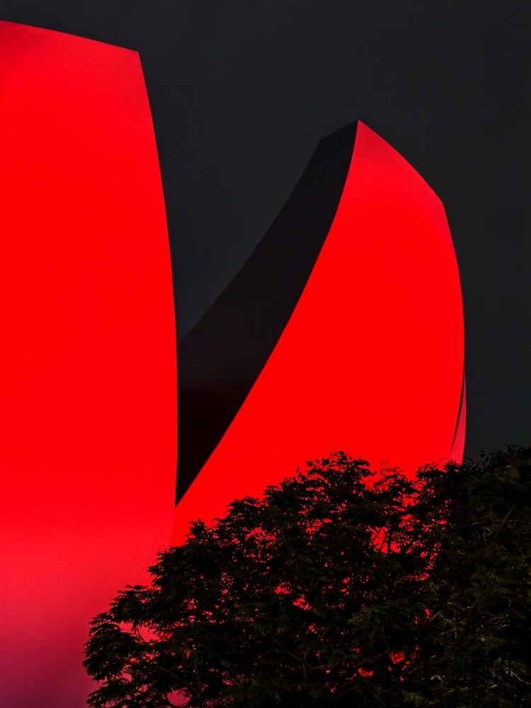 Фотография автора robot