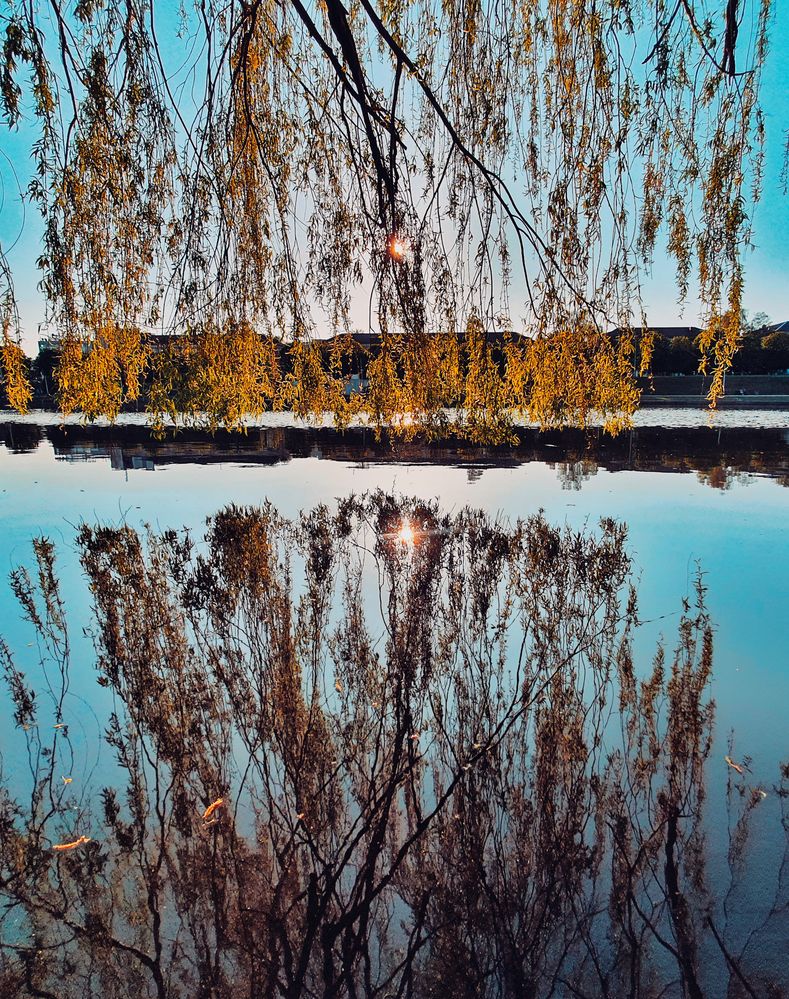 Photograph by Артем Гатин