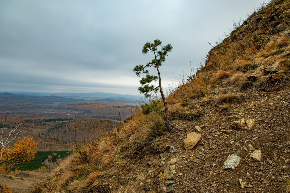Photograph by Владимир Калдин