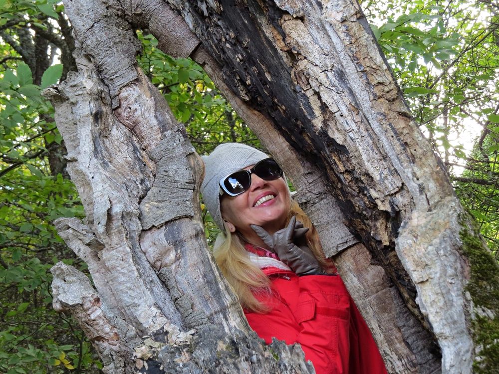 Photograph by Фартушняк Сергей