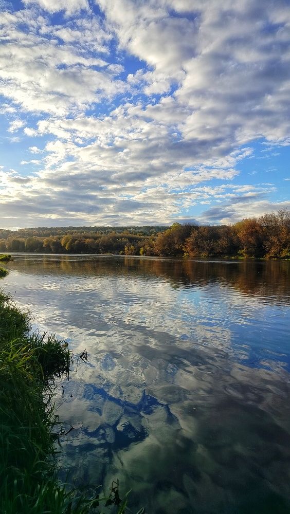 Дон Батюшка