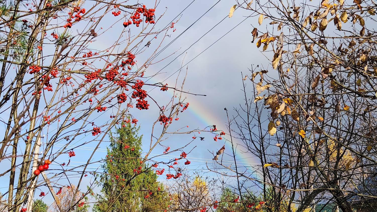 Photo #12705280