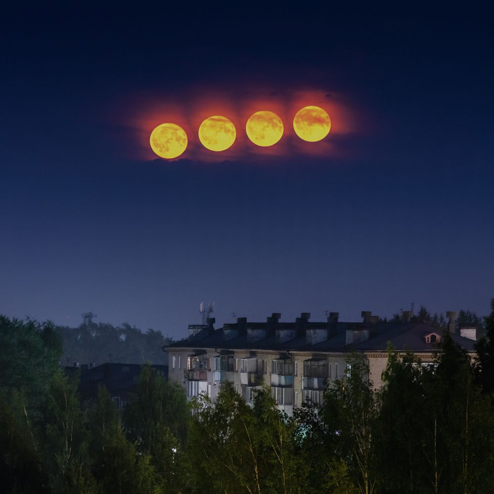 Photograph by Олег Бережных