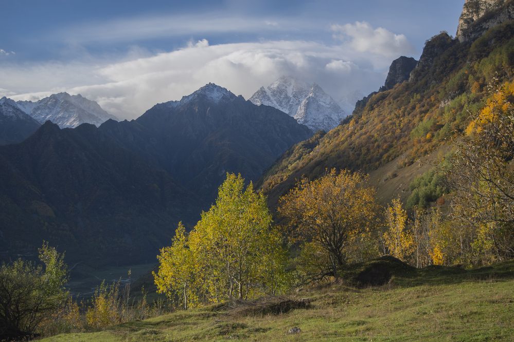 Фотография автора Шипунова Ирина