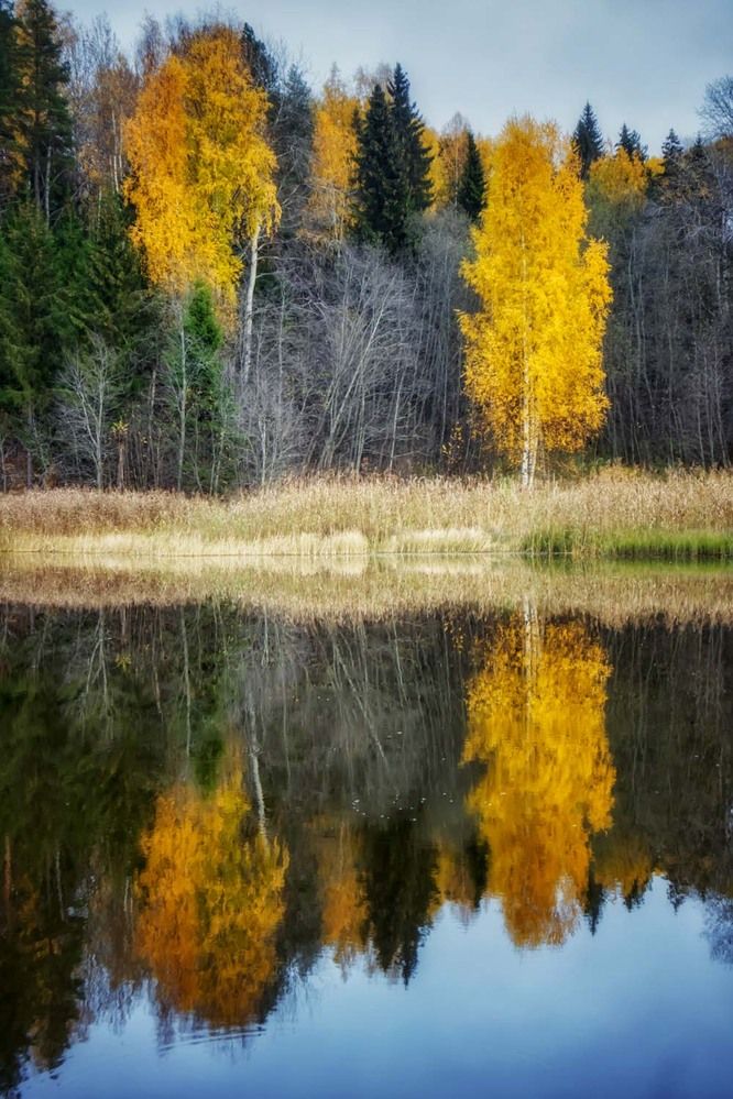 Photograph by Сергей Назаредский