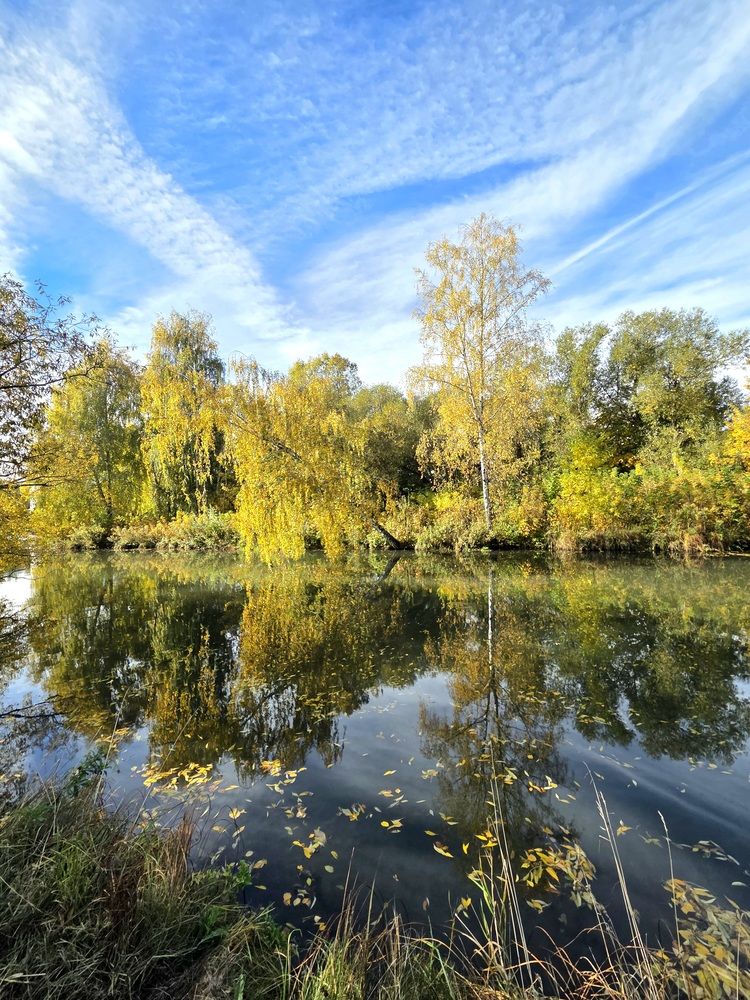 Фотография автора Elena Polonetskaya