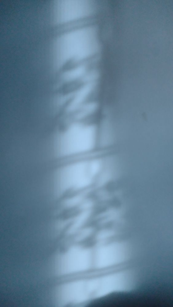 Фотография автора Alessio Rutigliano