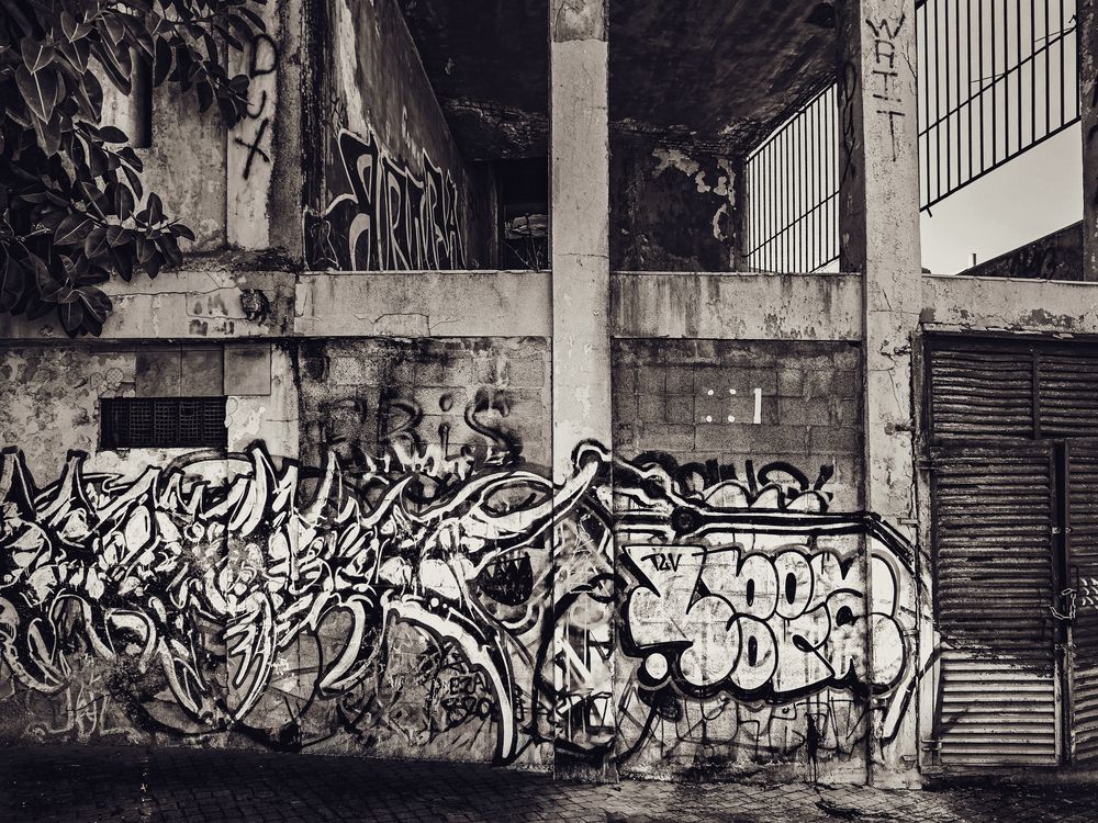 Photograph by Michael