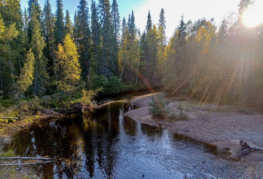 Photograph by Баронов Владимир