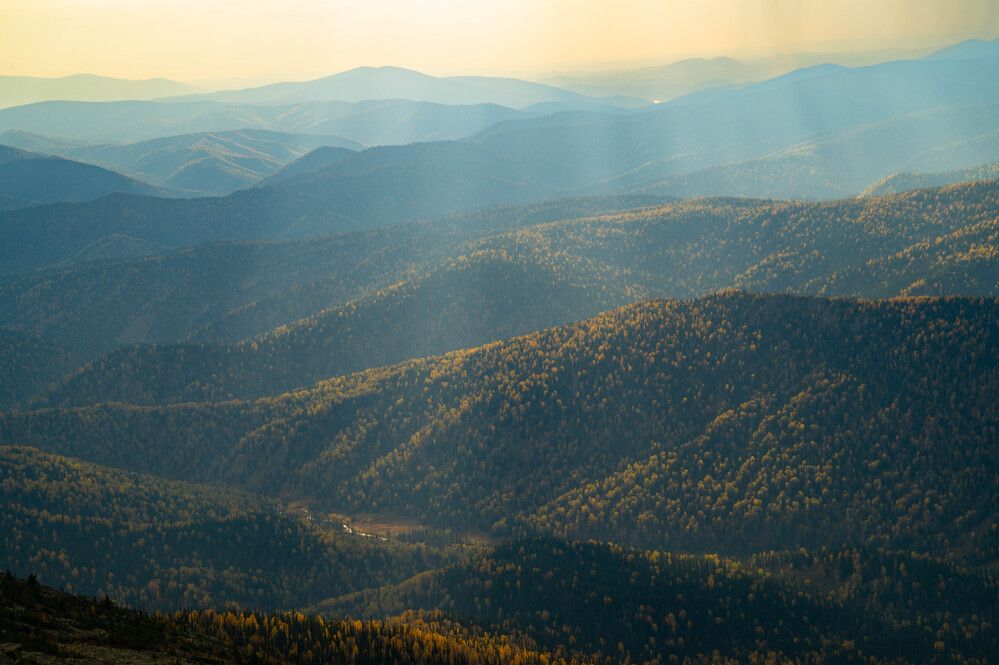Photograph by Дубровин Николай