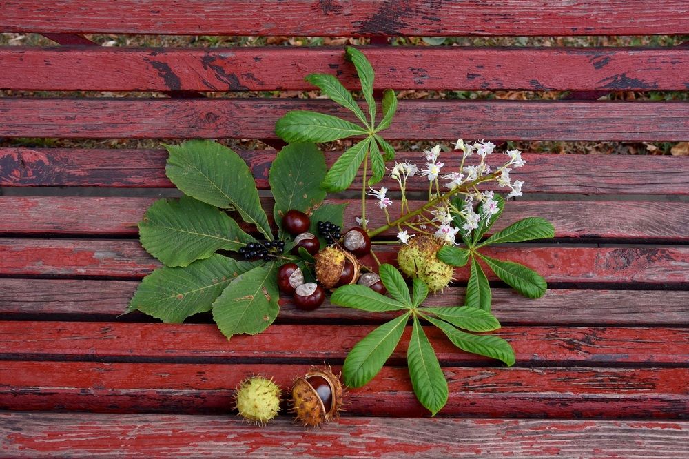 Photograph by Елена Иванова