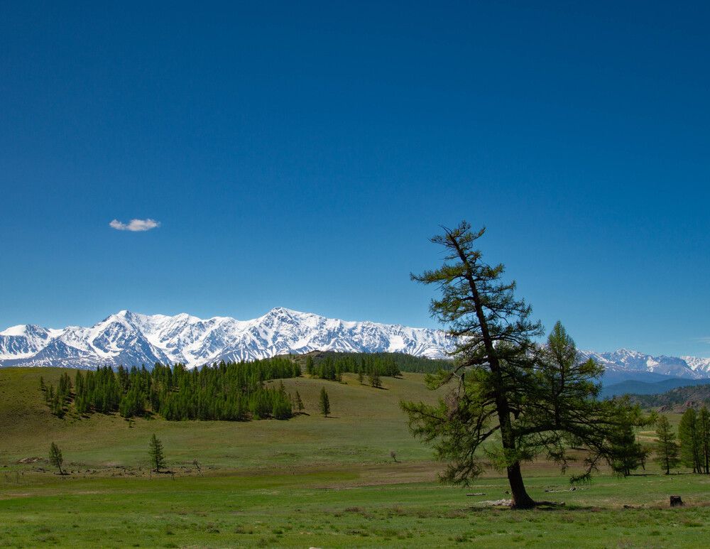 Photograph by Дубровин Николай