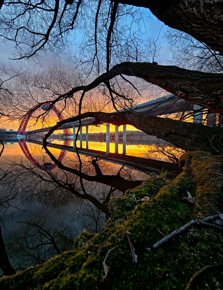 Фотография автора Maria Yakovleva