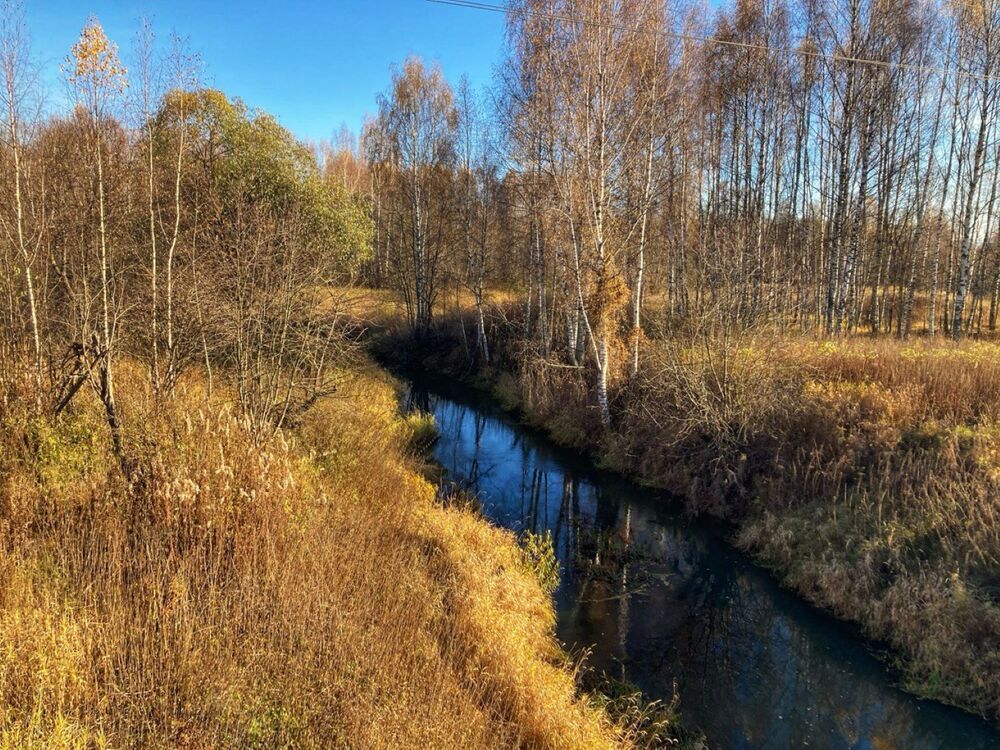 Photograph by Светлана Парамонова