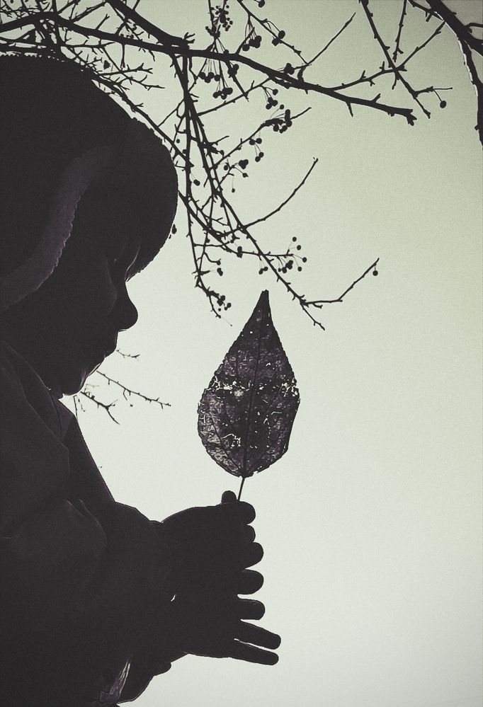 Photograph by Наталья Смирнова