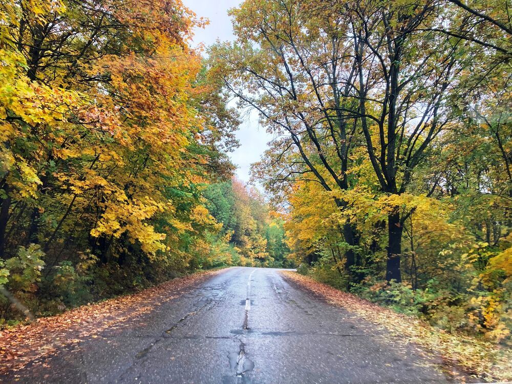 Photograph by Светлана Парамонова