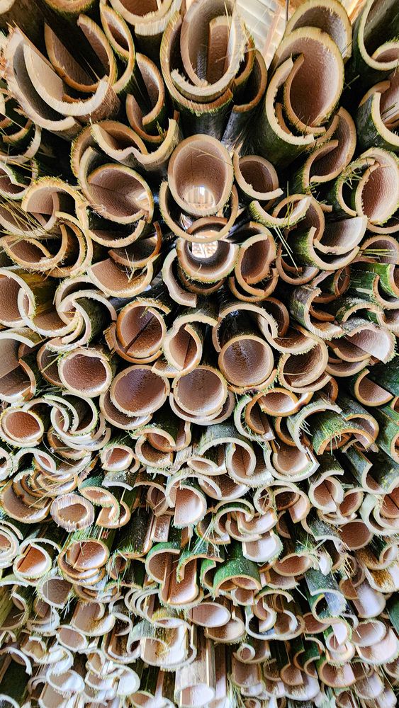 Photograph by esti lahat