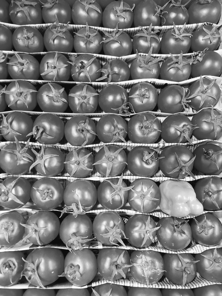 Photograph by esti lahat