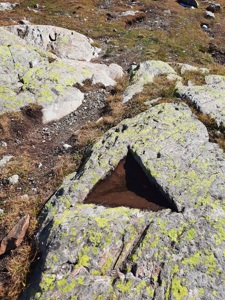 Photograph by Елена