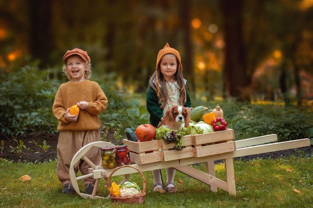 Photograph by Анна Хребтова