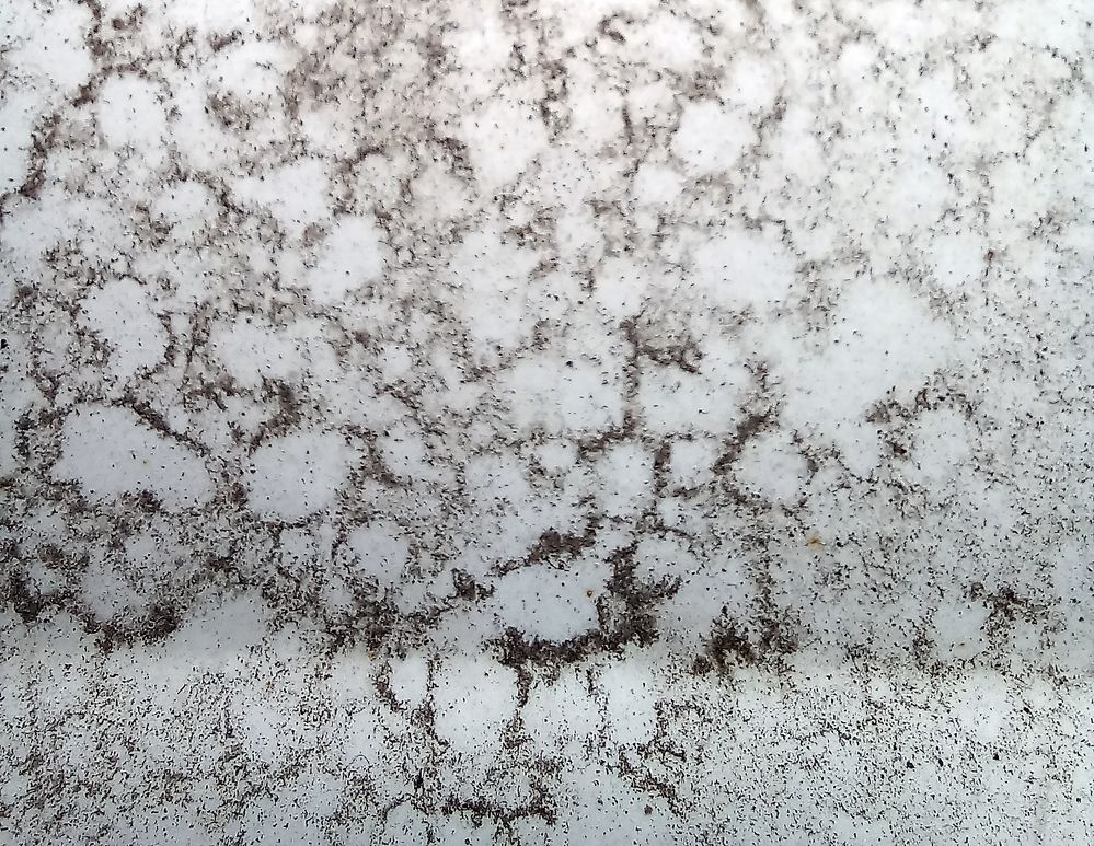 Photograph by  Валерий