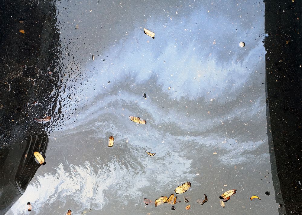 Photograph by  Валерий