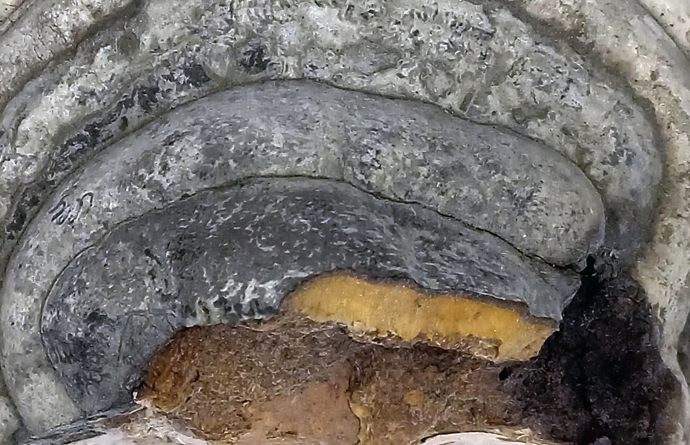 Photograph by  Валерий