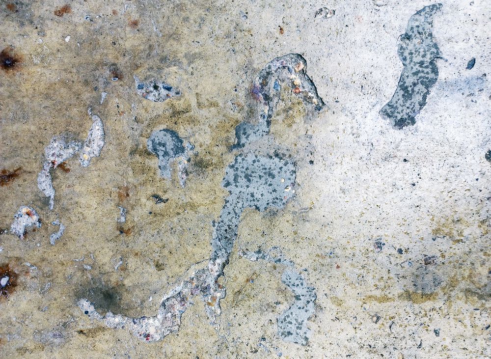 Photograph by  Валерий